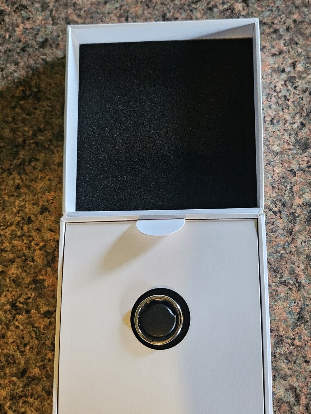 Oura Generation 3 Horizon Silver.
